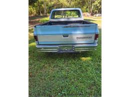 1978 Chevrolet Silverado (CC-2111803) for sale in Cadillac, Michigan