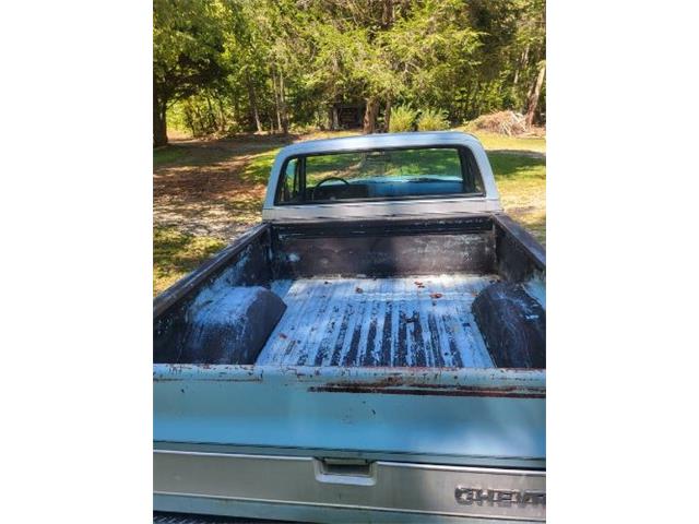 1978 Chevrolet Silverado (CC-2111803) for sale in Cadillac, Michigan