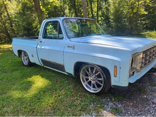 1978 Chevrolet Silverado (CC-2111803) for sale in Cadillac, Michigan