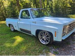 1978 Chevrolet Silverado (CC-2111803) for sale in Cadillac, Michigan