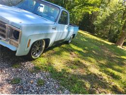 1978 Chevrolet Silverado (CC-2111803) for sale in Cadillac, Michigan