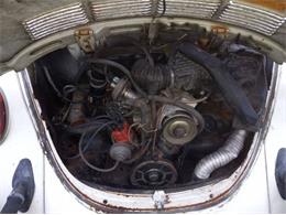 1978 Volkswagen Super Beetle (CC-2111808) for sale in Cadillac, Michigan
