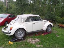 1978 Volkswagen Super Beetle (CC-2111808) for sale in Cadillac, Michigan
