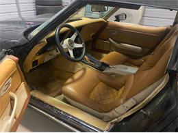 1979 Chevrolet Corvette (CC-2111811) for sale in Cadillac, Michigan