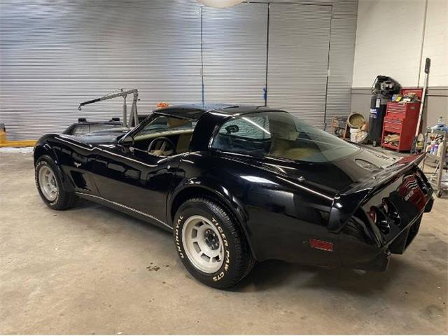 1979 Chevrolet Corvette (CC-2111811) for sale in Cadillac, Michigan