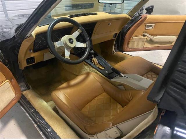 1979 Chevrolet Corvette (CC-2111811) for sale in Cadillac, Michigan