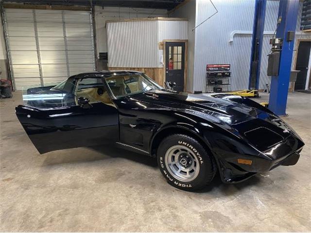 1979 Chevrolet Corvette (CC-2111811) for sale in Cadillac, Michigan
