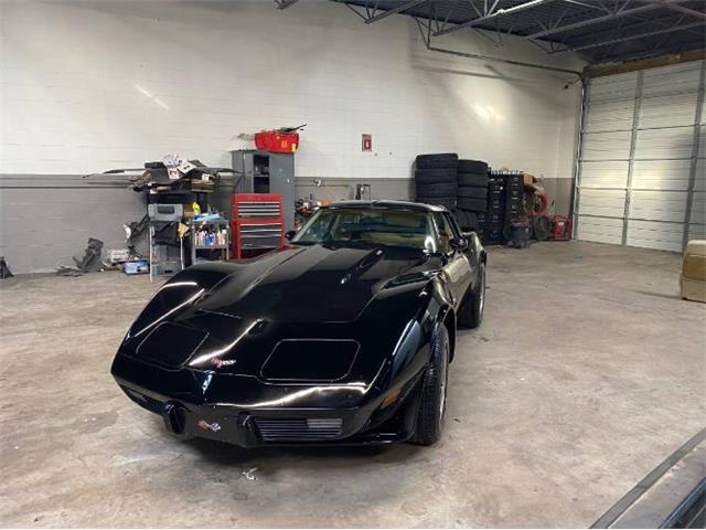 1979 Chevrolet Corvette (CC-2111811) for sale in Cadillac, Michigan