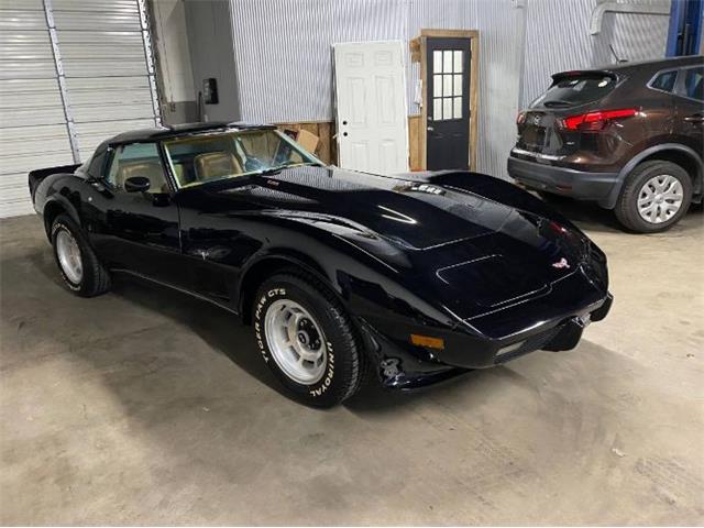1979 Chevrolet Corvette (CC-2111811) for sale in Cadillac, Michigan