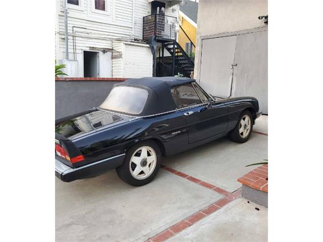 1986 Alfa Romeo Spider (CC-2111817) for sale in Cadillac, Michigan