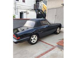 1986 Alfa Romeo Spider (CC-2111817) for sale in Cadillac, Michigan