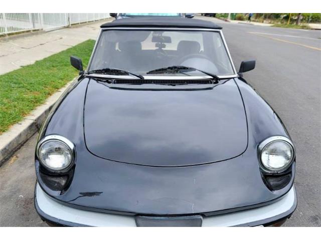 1986 Alfa Romeo Spider (CC-2111817) for sale in Cadillac, Michigan