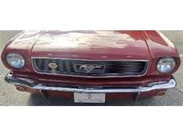 1966 Ford Mustang (CC-2111836) for sale in Cadillac, Michigan