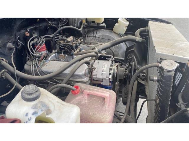 1981 Chevrolet K-10 (CC-2111837) for sale in Cadillac, Michigan