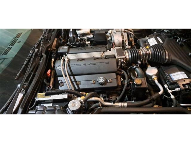 1996 Chevrolet Corvette (CC-2111840) for sale in Cadillac, Michigan