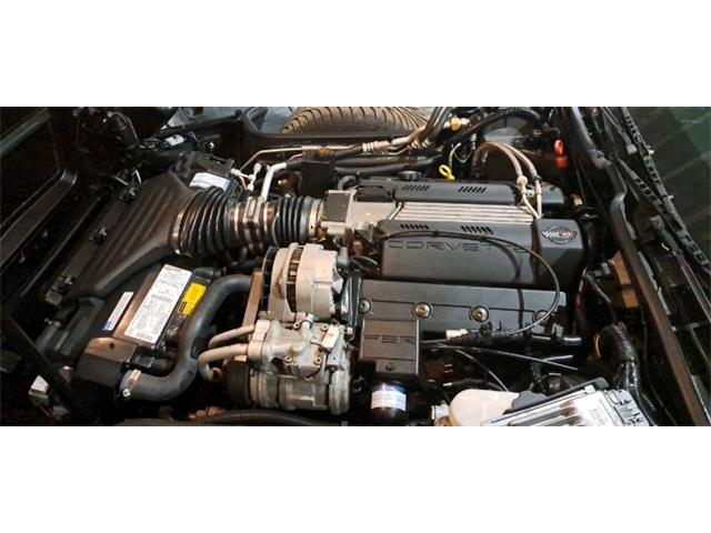 1996 Chevrolet Corvette (CC-2111840) for sale in Cadillac, Michigan
