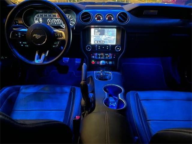 2019 Ford Mustang (CC-2110185) for sale in Cadillac, Michigan