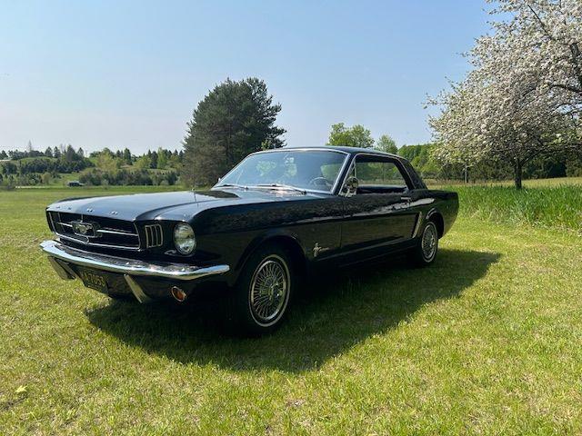 1965 Ford Mustang (CC-2111854) for sale in Cadillac, Michigan