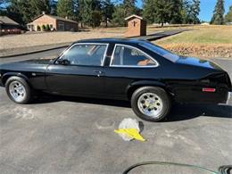 1976 Chevrolet Nova (CC-2111855) for sale in Cadillac, Michigan