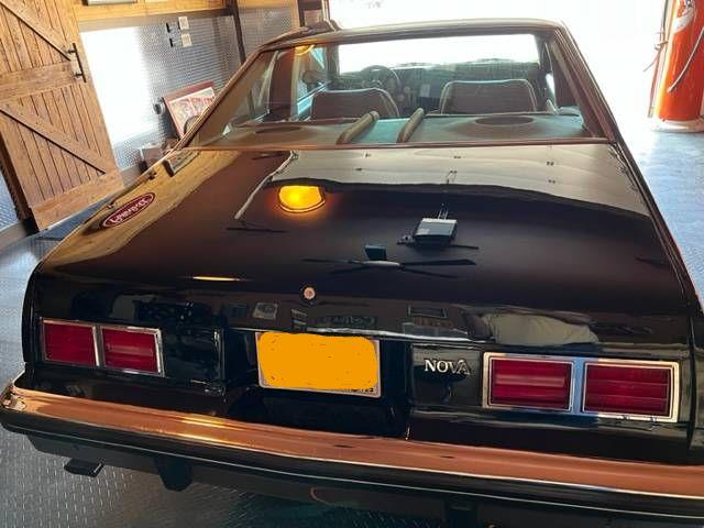 1976 Chevrolet Nova (CC-2111855) for sale in Cadillac, Michigan