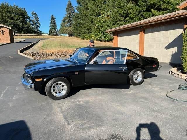 1976 Chevrolet Nova (CC-2111855) for sale in Cadillac, Michigan