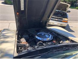 1981 Chevrolet Corvette (CC-2111857) for sale in Cadillac, Michigan