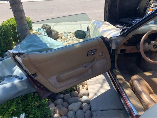 1981 Chevrolet Corvette (CC-2111857) for sale in Cadillac, Michigan
