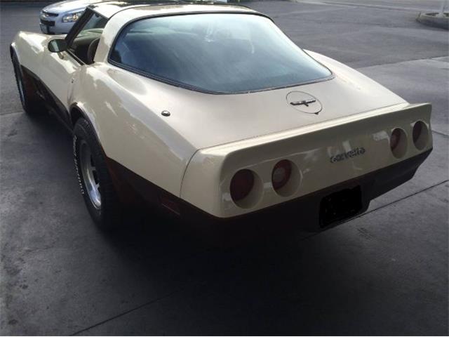 1981 Chevrolet Corvette (CC-2111857) for sale in Cadillac, Michigan