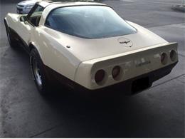 1981 Chevrolet Corvette (CC-2111857) for sale in Cadillac, Michigan