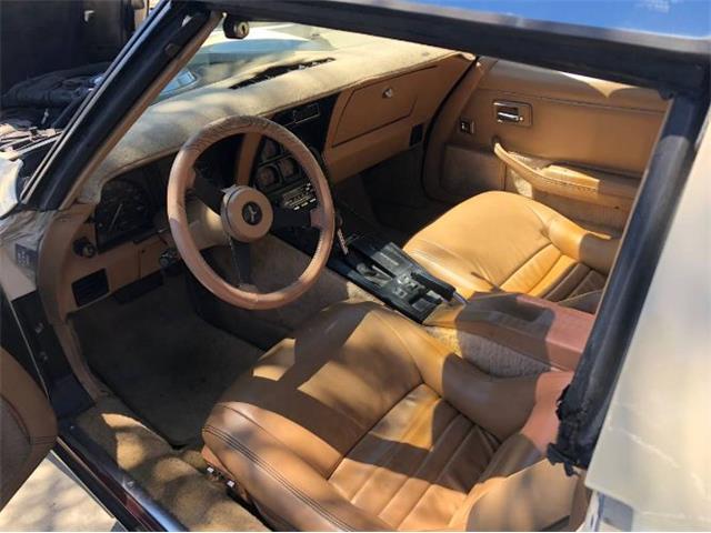 1981 Chevrolet Corvette (CC-2111857) for sale in Cadillac, Michigan