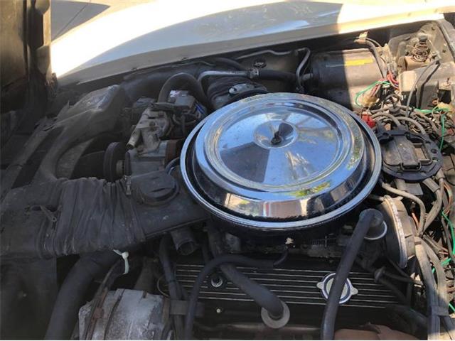 1981 Chevrolet Corvette (CC-2111857) for sale in Cadillac, Michigan