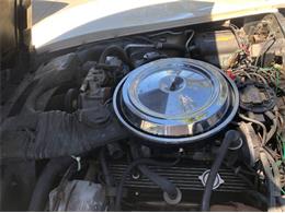 1981 Chevrolet Corvette (CC-2111857) for sale in Cadillac, Michigan