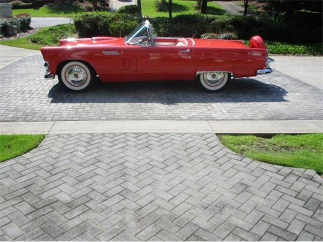 1956 Ford Thunderbird (CC-2111873) for sale in Cadillac, Michigan