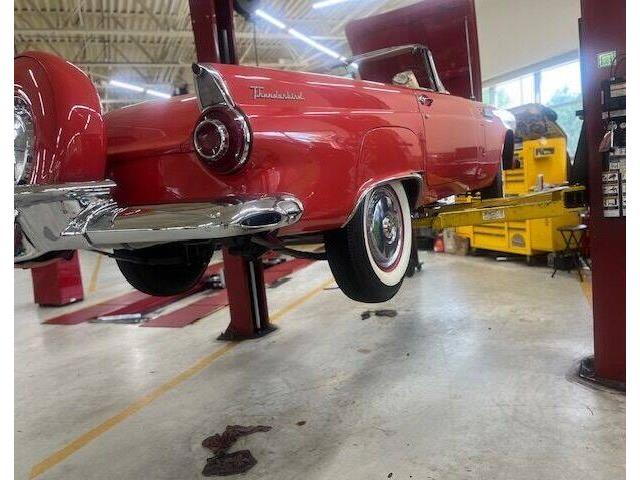 1956 Ford Thunderbird (CC-2111873) for sale in Cadillac, Michigan