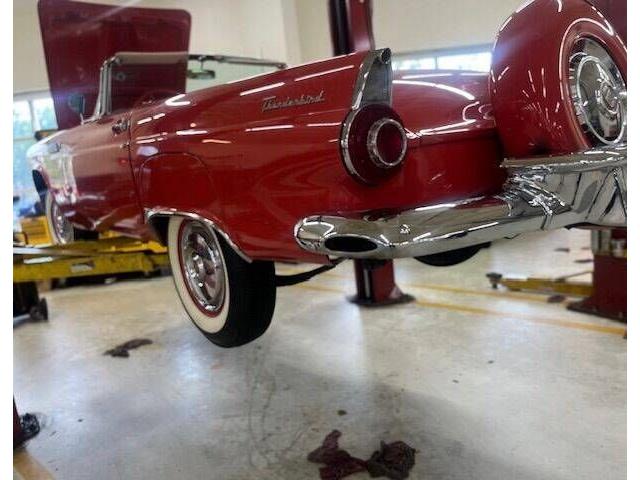 1956 Ford Thunderbird (CC-2111873) for sale in Cadillac, Michigan