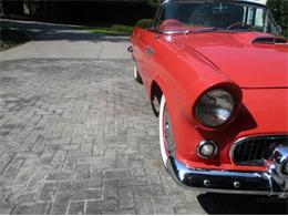 1956 Ford Thunderbird (CC-2111873) for sale in Cadillac, Michigan