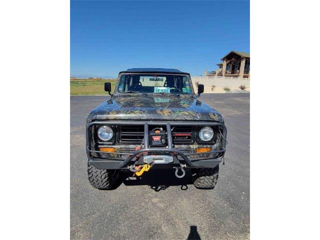 1979 International Scout (CC-2111879) for sale in Cadillac, Michigan