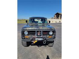 1979 International Scout (CC-2111879) for sale in Cadillac, Michigan