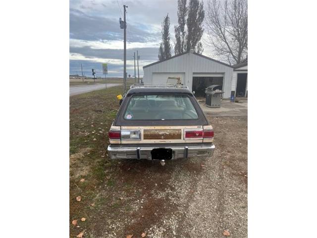 1979 Chrysler Town & Country (CC-2111904) for sale in Cadillac, Michigan