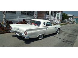 1957 Ford Thunderbird (CC-2111924) for sale in Cadillac, Michigan