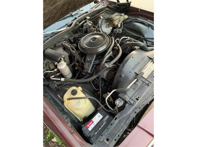 1984 Chevrolet Caprice Classic (CC-2111926) for sale in Cadillac, Michigan