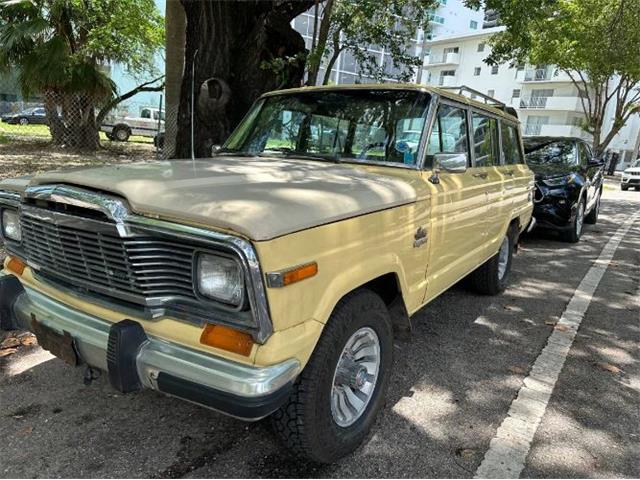 1980 Jeep Wagoneer (CC-2111932) for sale in Cadillac, Michigan