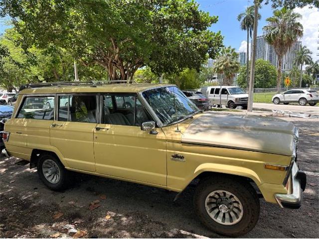 1980 Jeep Wagoneer (CC-2111932) for sale in Cadillac, Michigan