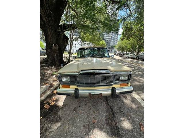 1980 Jeep Wagoneer (CC-2111932) for sale in Cadillac, Michigan