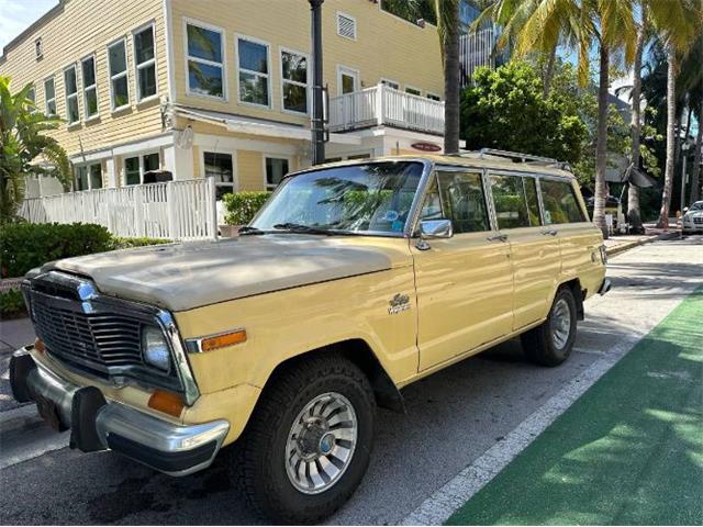 1980 Jeep Wagoneer (CC-2111932) for sale in Cadillac, Michigan