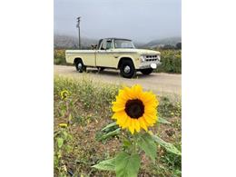 1968 Dodge D200 (CC-2111933) for sale in Cadillac, Michigan