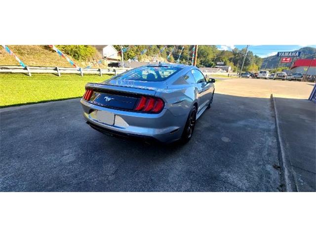 2022 Ford Mustang (CC-2111935) for sale in Cadillac, Michigan