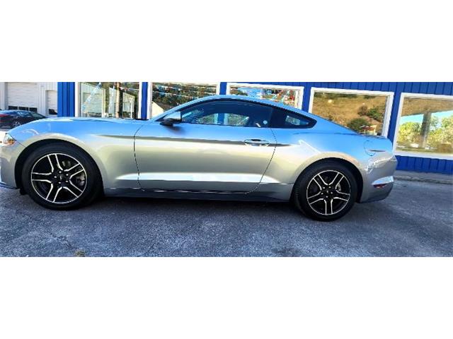 2022 Ford Mustang (CC-2111935) for sale in Cadillac, Michigan