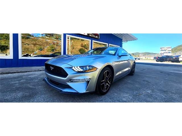 2022 Ford Mustang (CC-2111935) for sale in Cadillac, Michigan