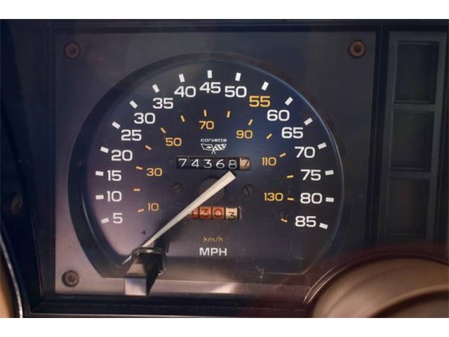 1982 Chevrolet Corvette (CC-2110194) for sale in Cadillac, Michigan